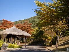 청주 미동산 수목원