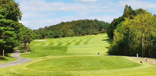 뉴스프링빌컨트리클럽