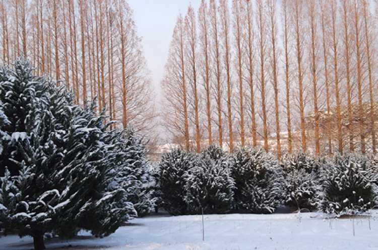 익산 아가페정원