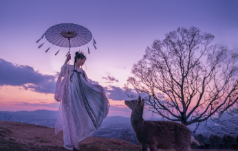 닌텐도 스위치2 사전예약 바로 가기 21