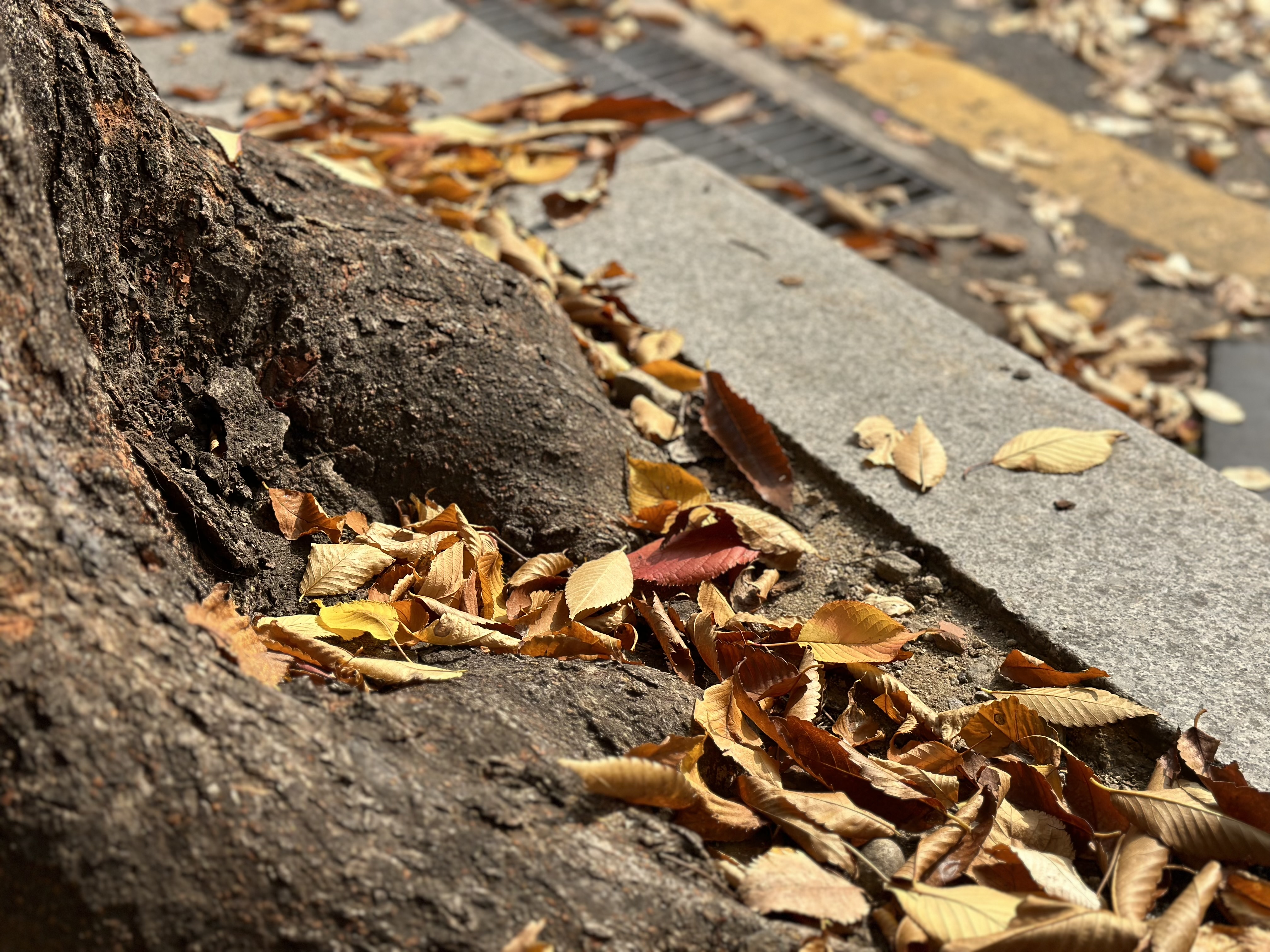 아이폰14프로 가격