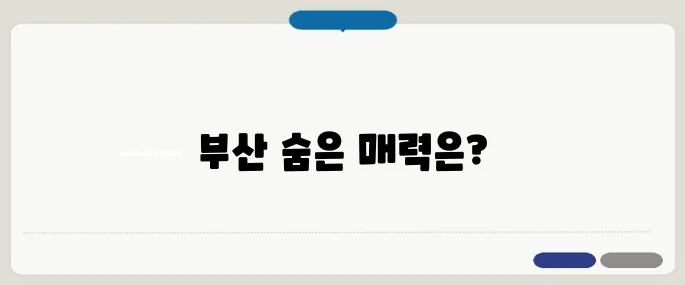 부산 가볼만한곳 BEST 10 여행 초보도 만족하는 루트