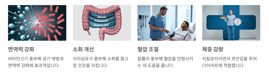 콜라비 효능 6가지