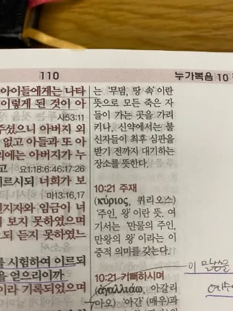 매일성경묵상과 사명(누가복음 10장 1-24절) 칠십 인의 제자를 파송하신 예수님_10