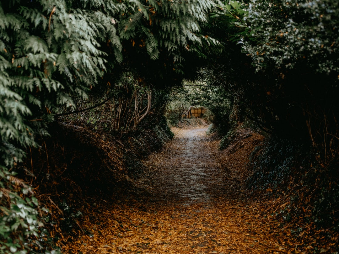 Shortcut