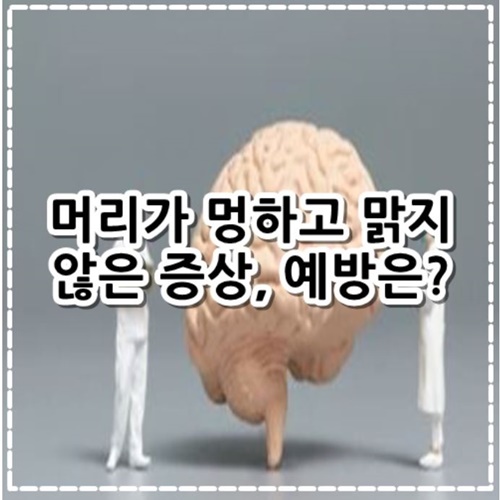 머리가 멍하고 맑지 않은 증상 6가지, 예방법