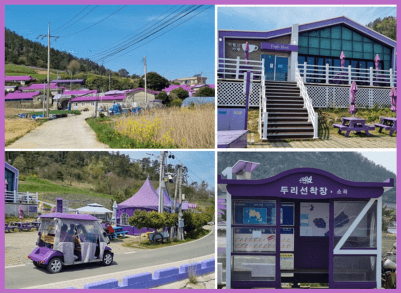 신안_퍼플섬_가는길