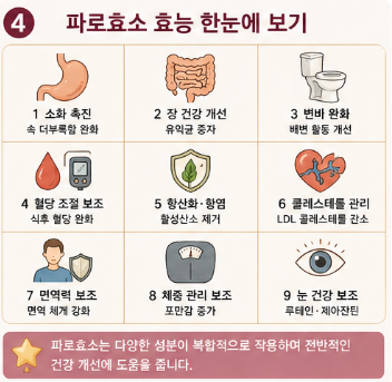 파로효소-효능-먹는법-성분-부작용-추천-제품-비교