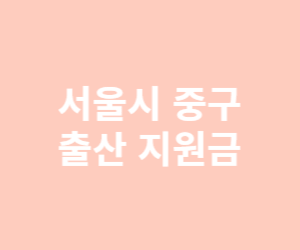 서울시 출산 지원금