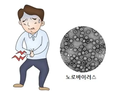 노로바이러스-겨울철-장염