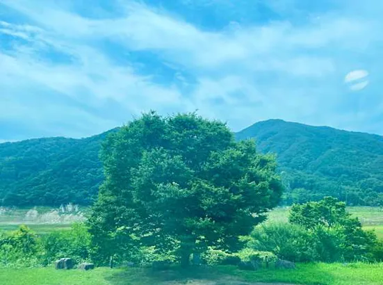카페라붐