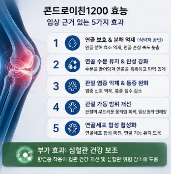 콘드로이친1200-효능-성분-부작용-복용법-가격-차이