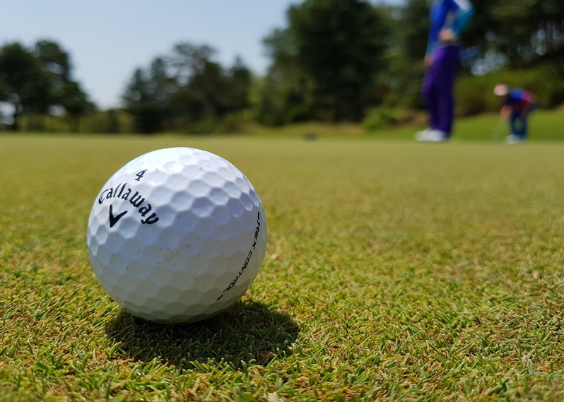 골프공 잔디