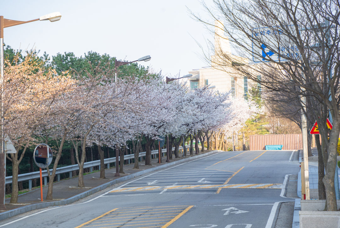 장안대학교 캠퍼스