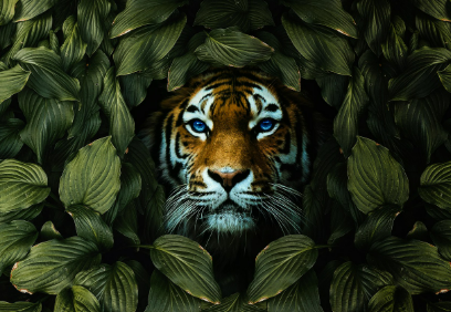 2025년 7월 호랑이띠(생년별) 운세