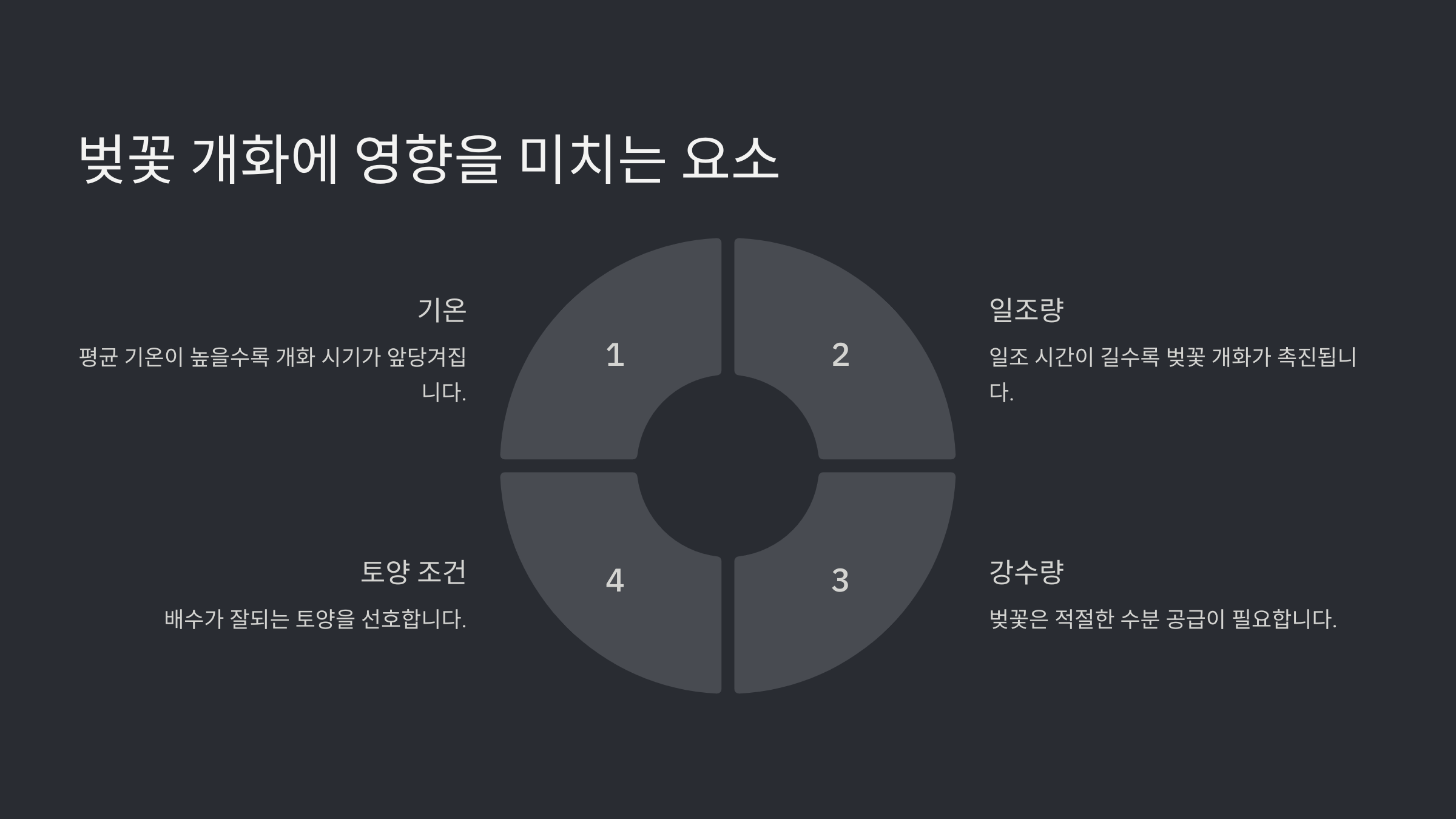 벚꽃 개화 시기 명소 추천 2025