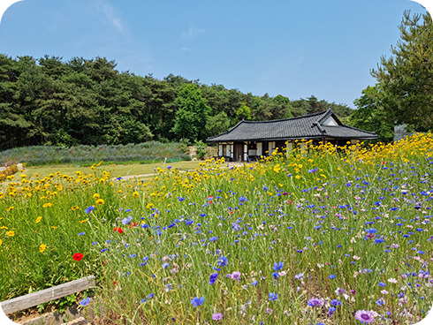 술암제 전경 이미지/ 출처: 고창 청농원