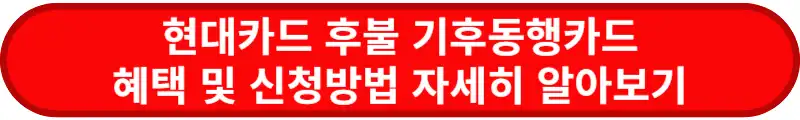 현대카드-후불-기후동행카드-혜택