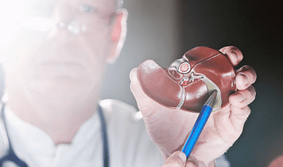 담낭염의 증상, 담낭 용종