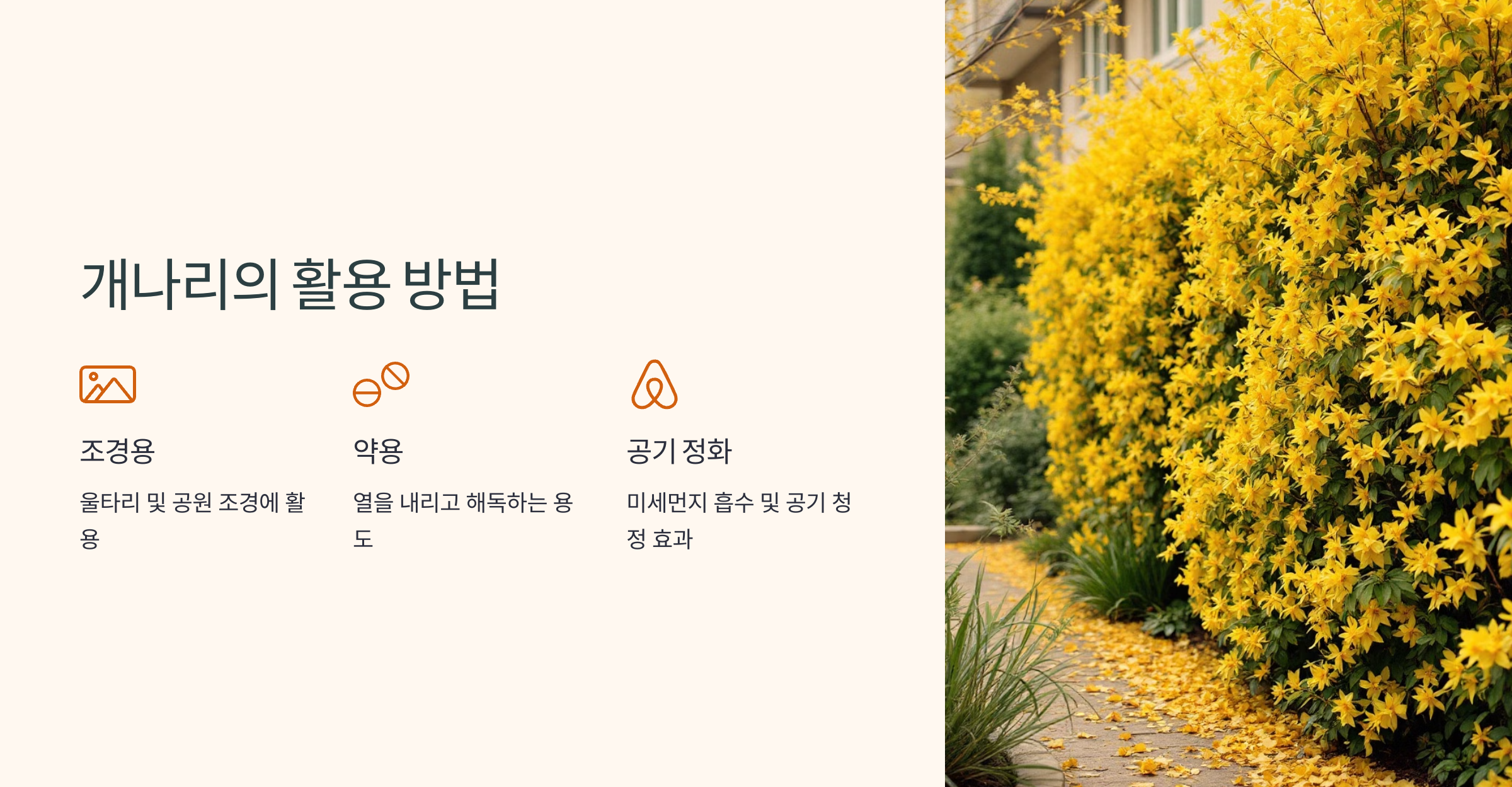 개나리꽃