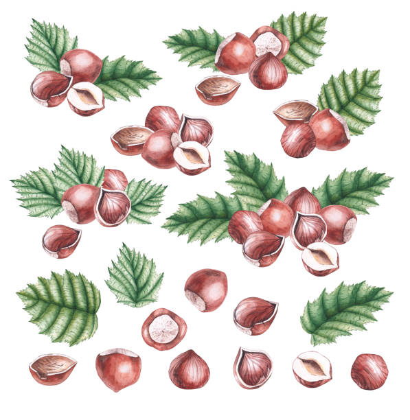 태양광 &amp; 풍력 에너지를 활용한 스마트팜의 핵심 기술