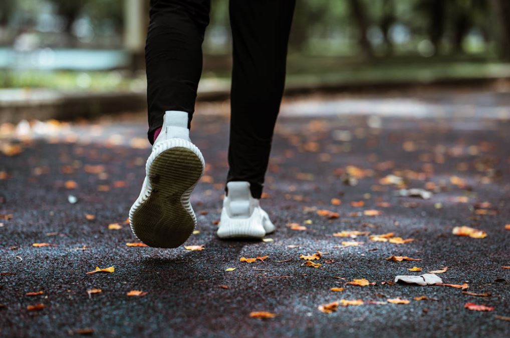 뇌졸중 초기증상 예방법 원인
