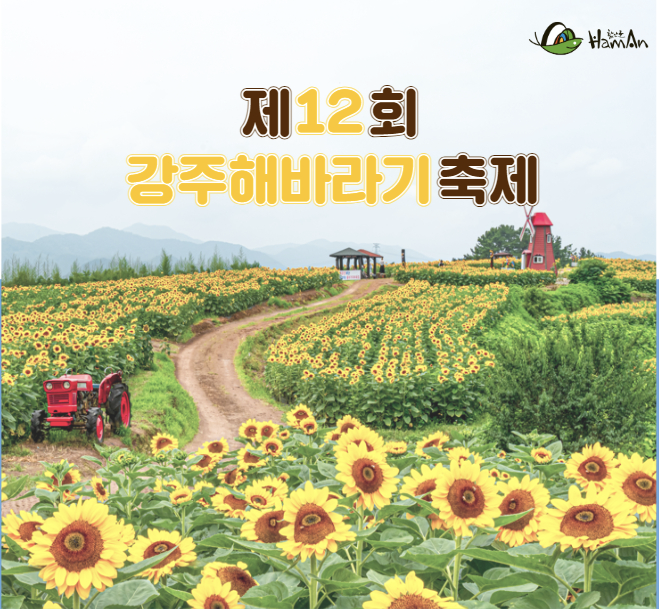 제12회 강주 해바라기 축제