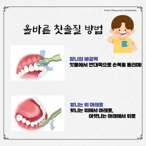 아침 양치 언제, 어떻게 하는 것이 가장 효과적일까?