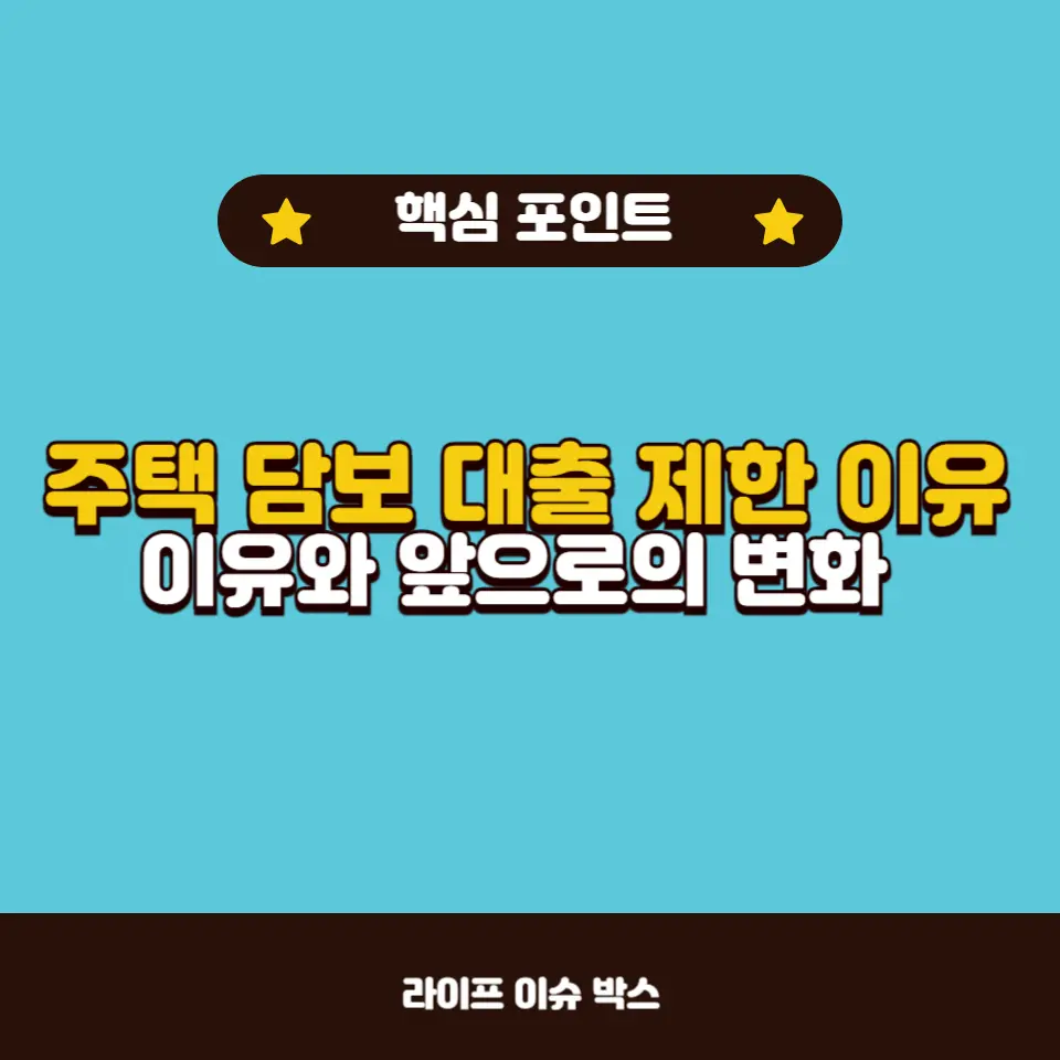 주택 담보 대출 제한