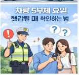 차량 5부제 예외 차량 정리
