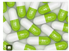 셀레늄(Selenium)21