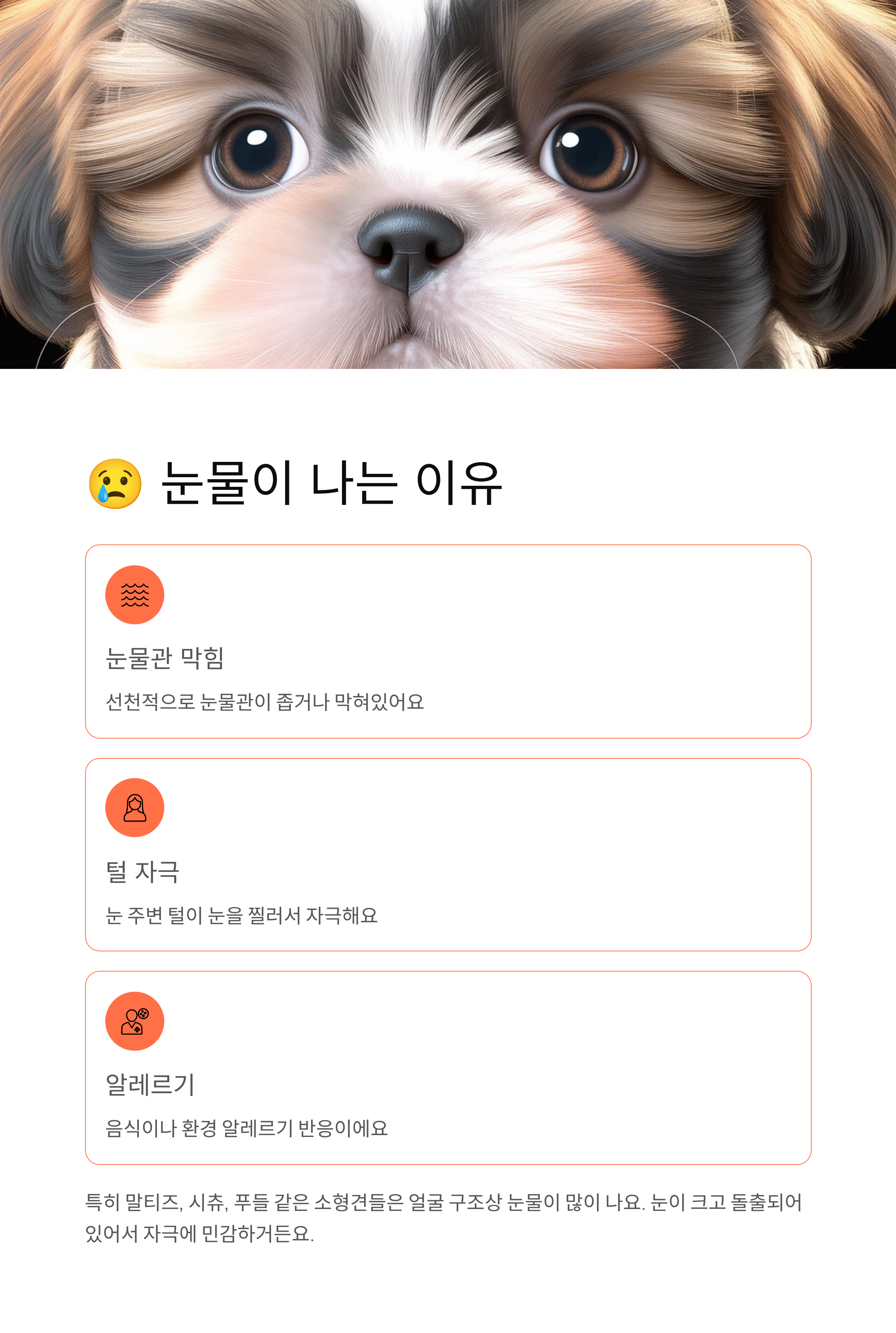 강아지 눈물관리 ❘ 눈물자국 제거 원인 닦는법 사료 영양제 완벽 가이드