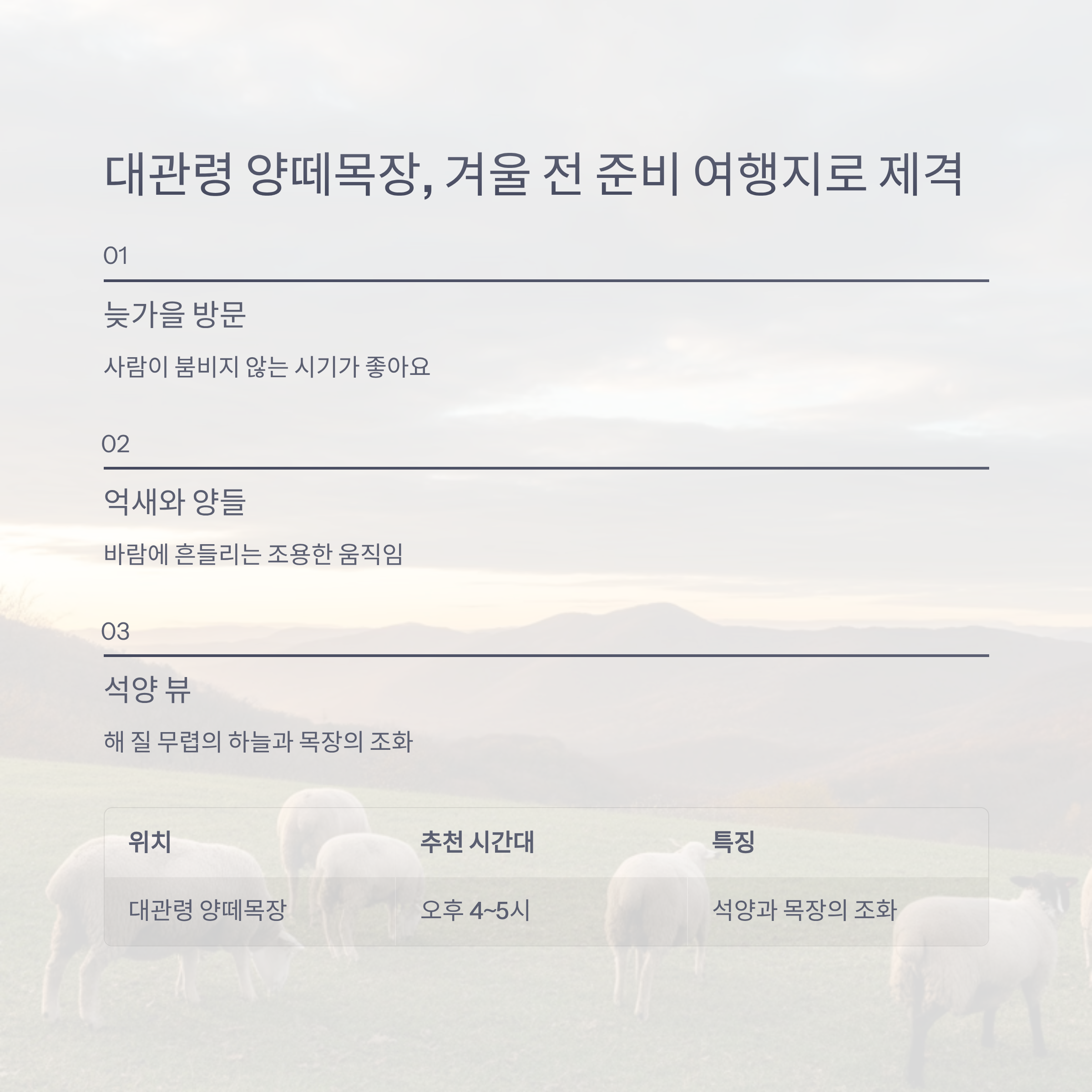 대관령 양떼목장, 겨울 전 준비 여행지로 제격