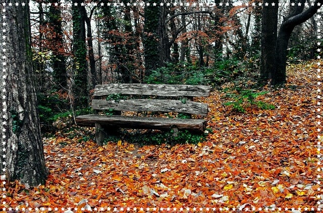 2025년 무직자 정부 지원 정책 완전정리