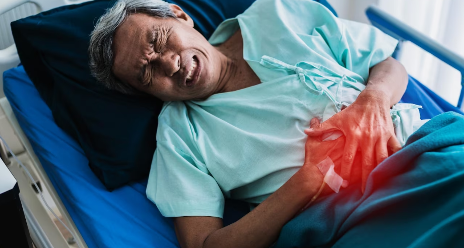 식중독을 일으키는 균의 종류