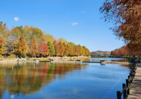 11월 국내여행지 추천 BEST 10