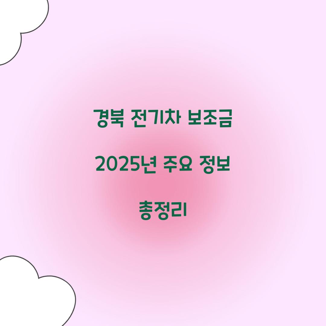 경북 전기차 보조금