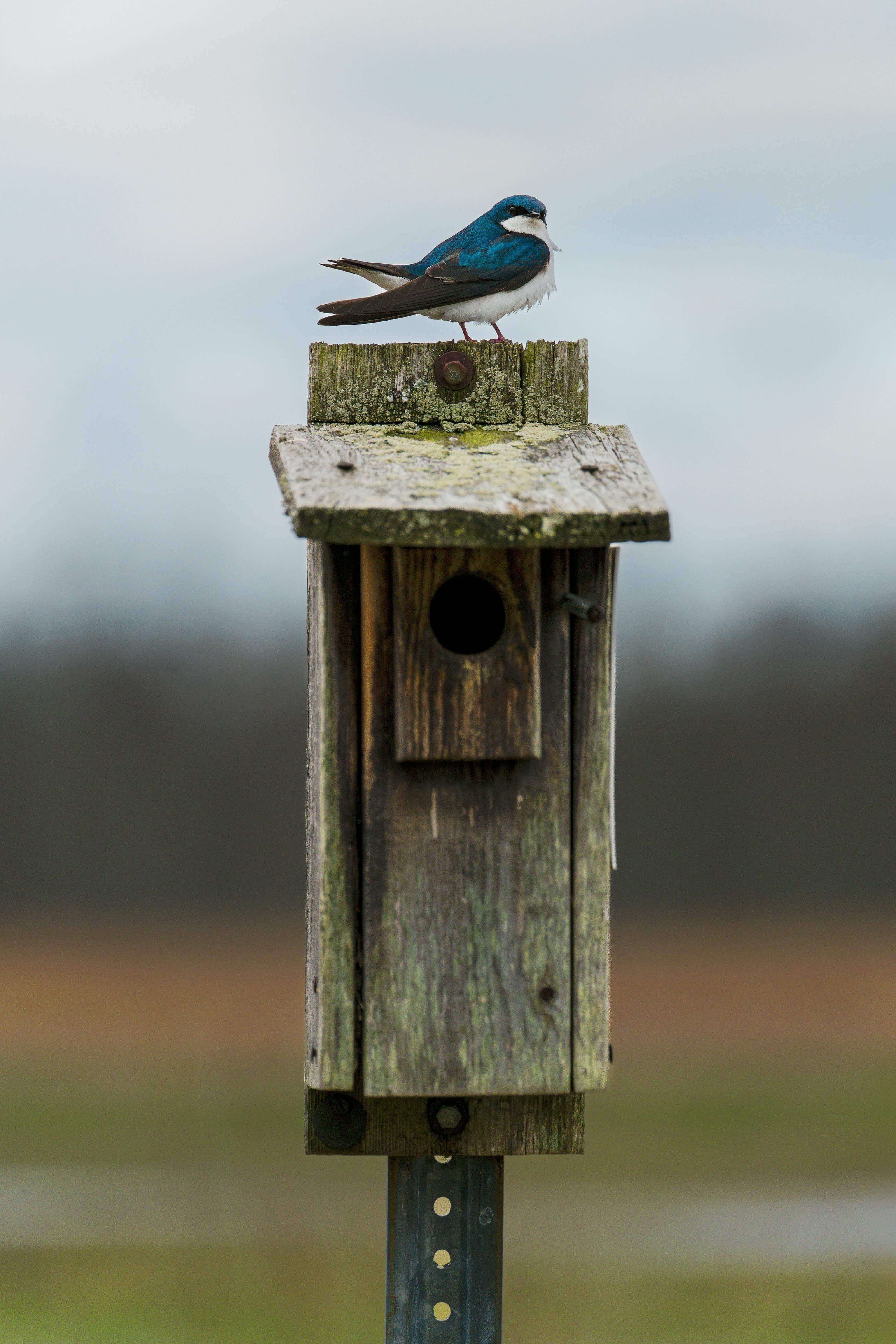 지속가능한 환경 관련 이미지