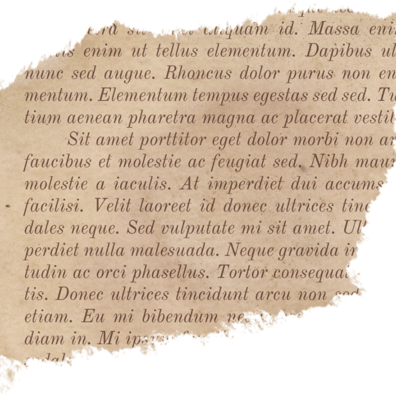 인터넷 사주 무료 사이트