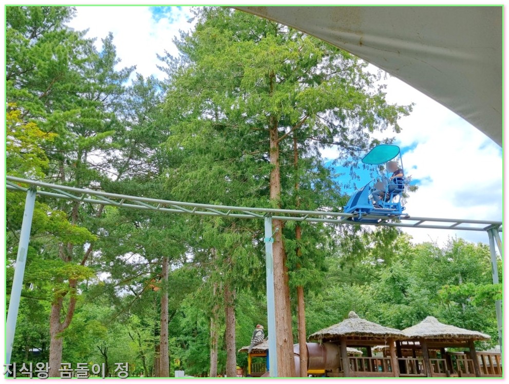 기평 남이섬 입장권 예약 입장료 할인 혜택과 배시간표까지 한눈에6