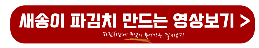 새송이 파김치 만드는 영상보기