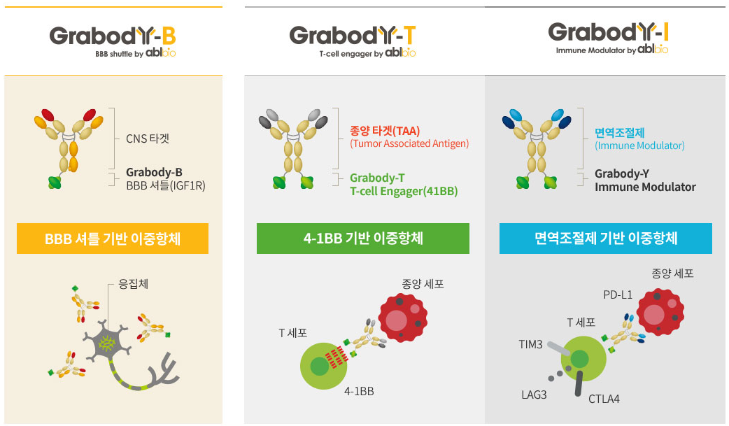 에이비엘바이오의 이중항체 플랫폼 Grabody™