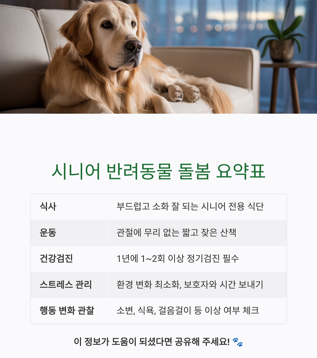 시니어 반려동물과 건강하게 오래 함께하는 방법