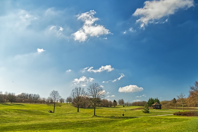 하늘이 파랗고 높은 배경의 골프장