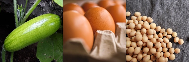 당뇨에 좋은 음식, 호박, 계란, 콩