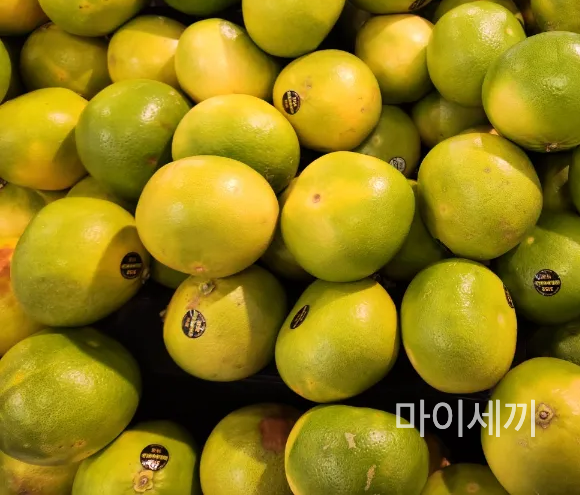 멜로자몽골드