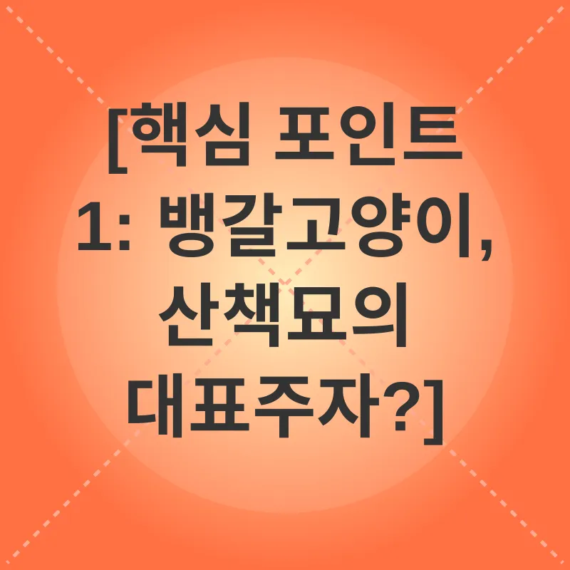 뱅갈고양이 산책_1