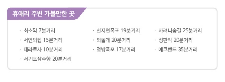 휴애리 유채꽃 축제