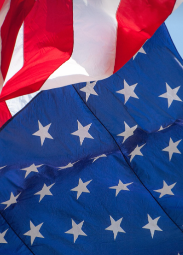 성조기 확대 사진