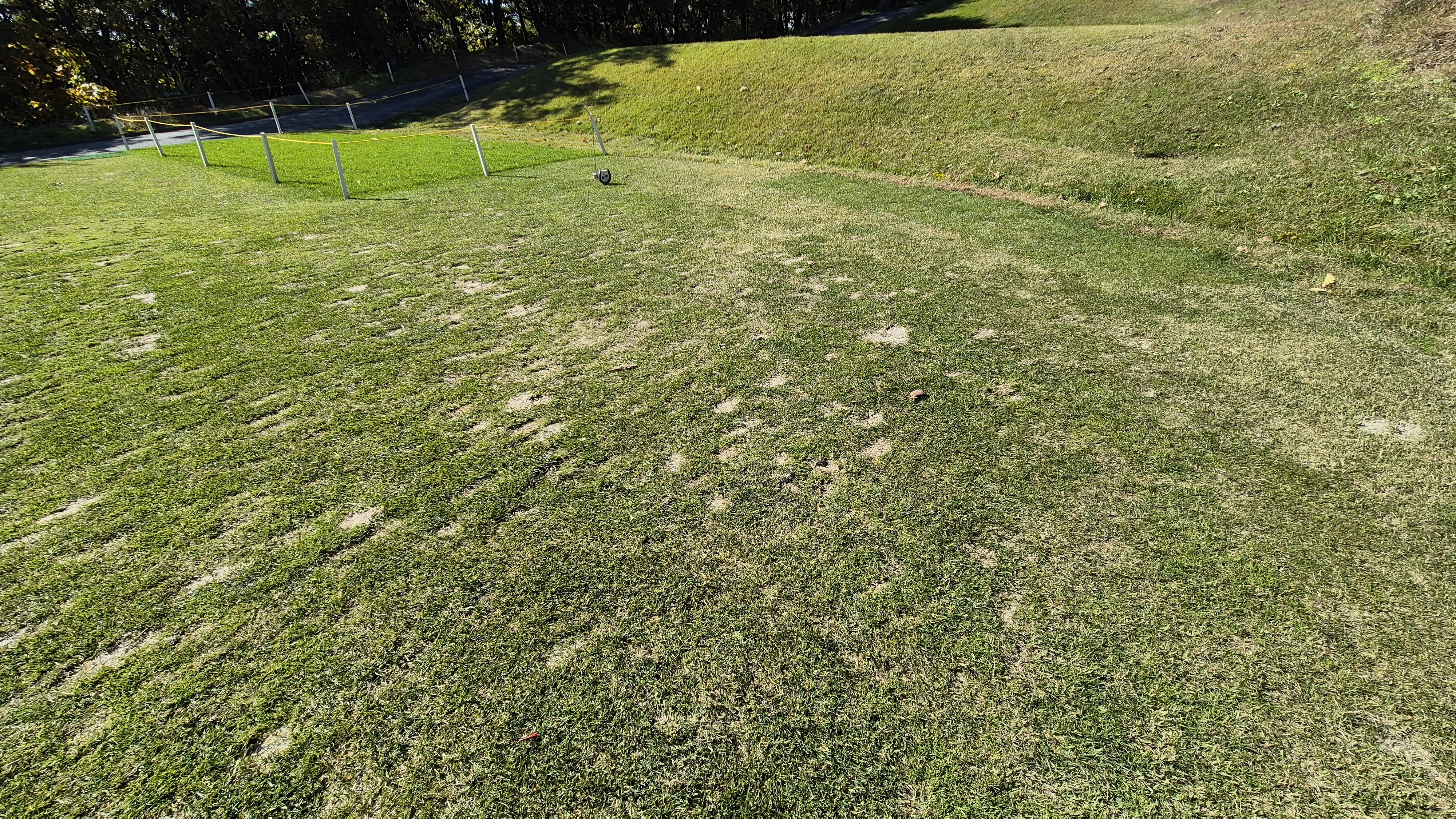 동촌gc 티잉구역 상태